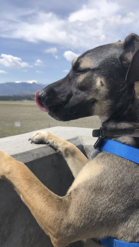 Entry image for Maya. Clicking this image will show a larger photo