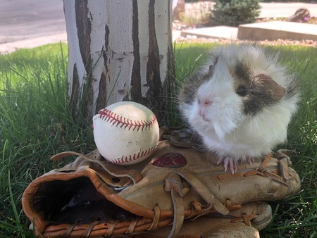 Entry image for Larry. Clicking this image will show a larger photo