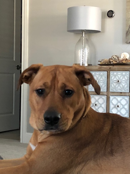 Entry image for Houston. Clicking this image will show a larger photo