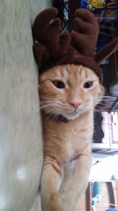 Beanie