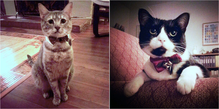 Fleur & Yoda