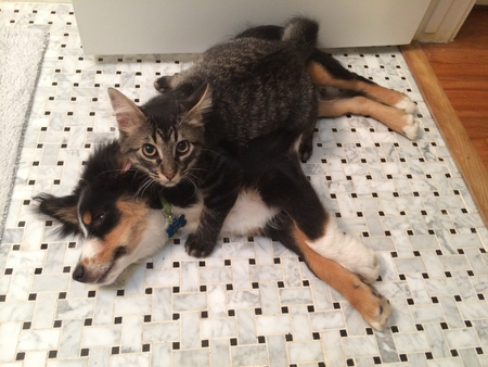 Nacho & Teddy