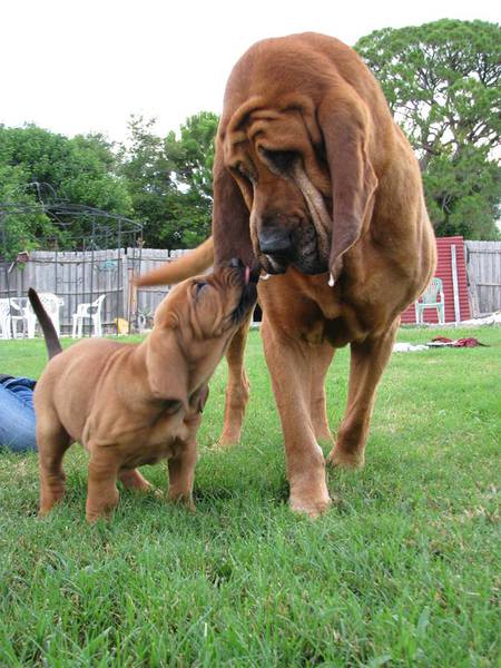 Sid and Big Daddy Butch