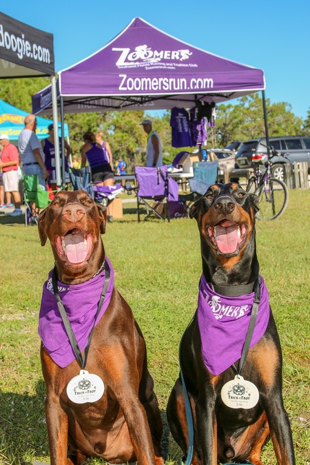 Dexter and Zeus 