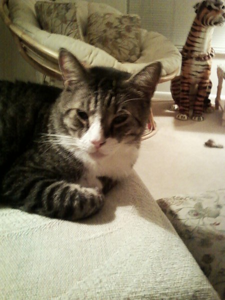 George