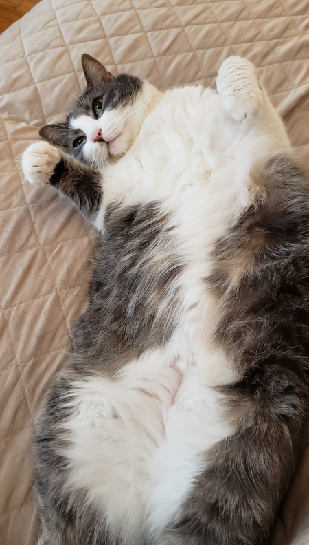 Mushy