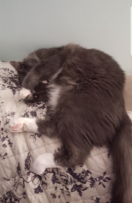 Smokey
