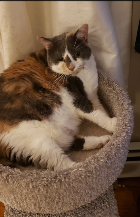 Tiny hiney