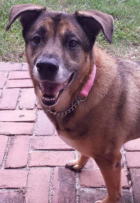 Molly