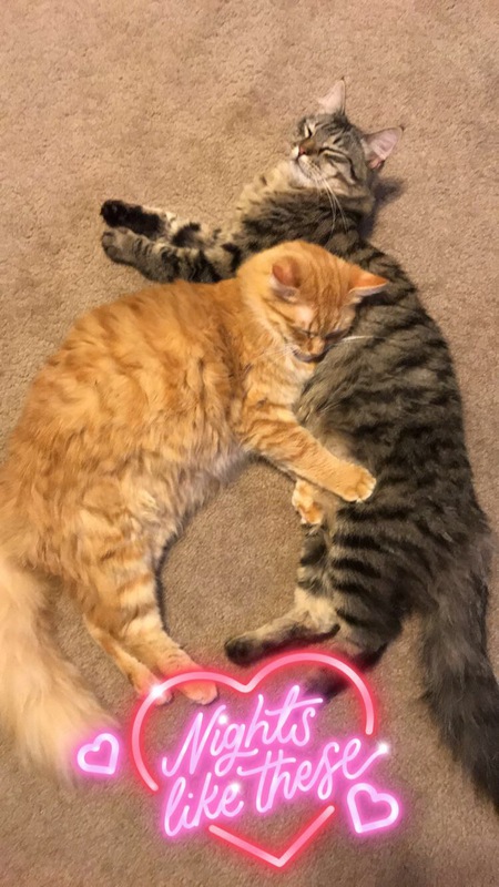Fen/Jax
