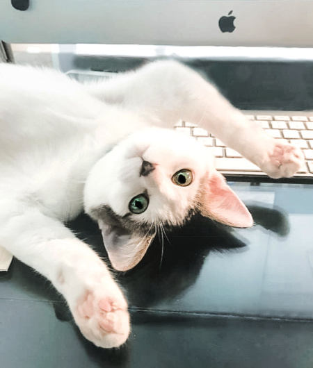 Coco
