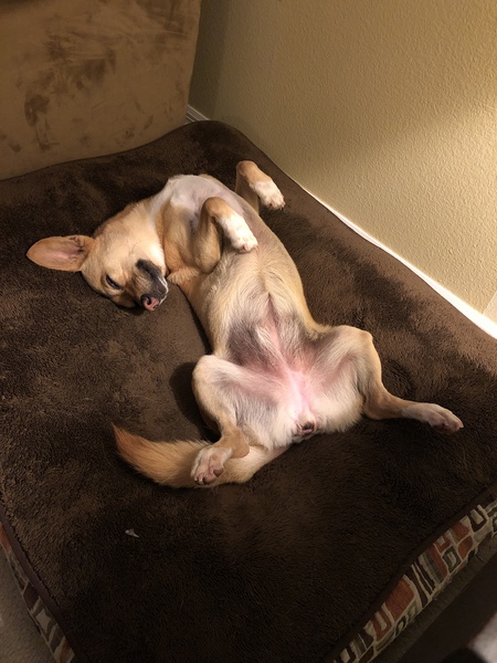 Kona