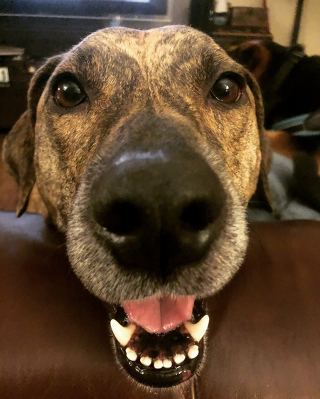 Skylar