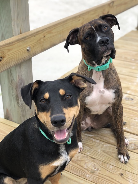 Izzy & Logan