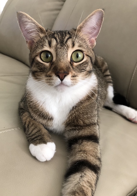 Charles Xavier ("Charlie")