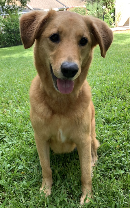 Penelope