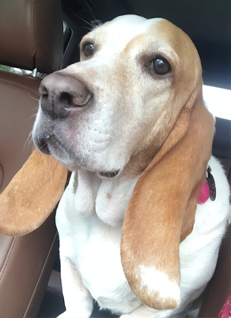 Molly