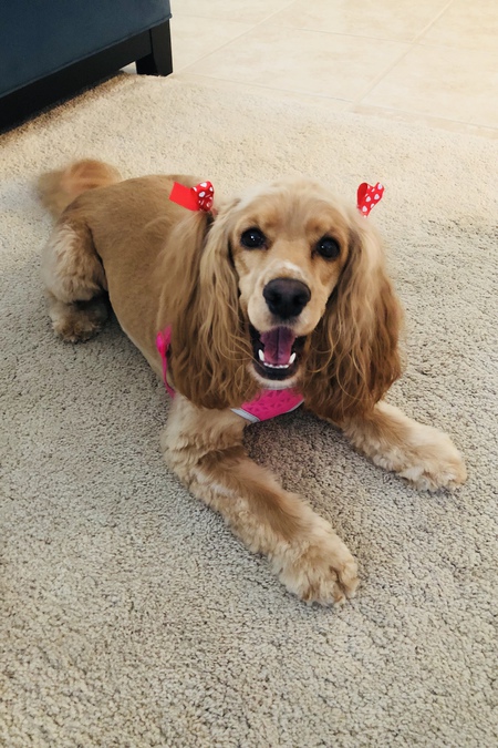Cammie