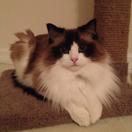 Darwin