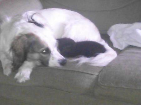 Molly 