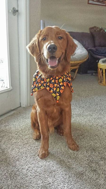 Cooper