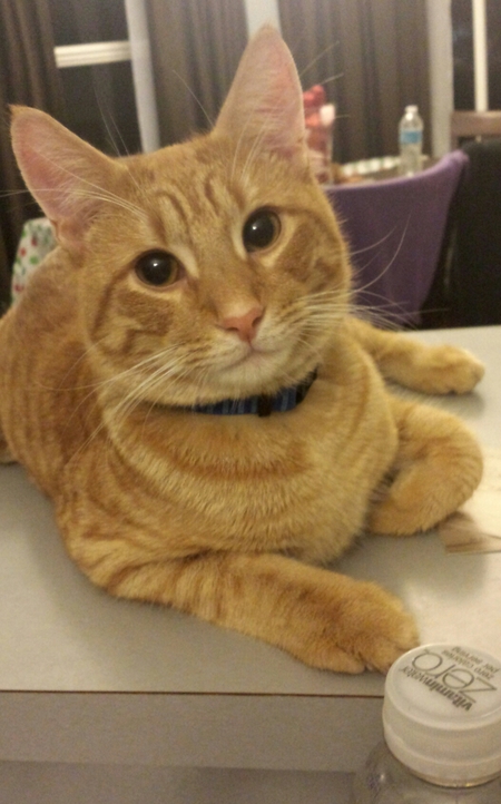 Milo