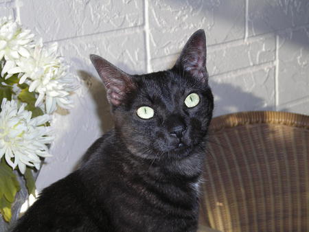 Toby Black