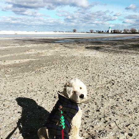 Hudson