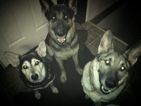 Dakota, Boston & Richmond