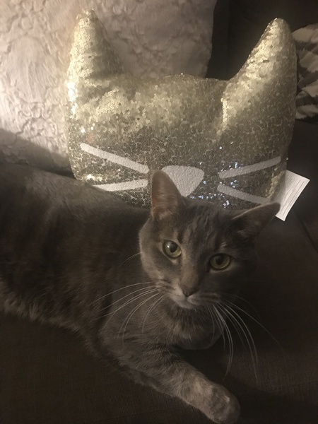 Juno