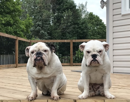 Harlem and Gerdie