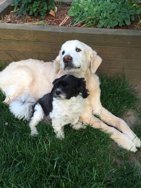 Rusty and Moe
