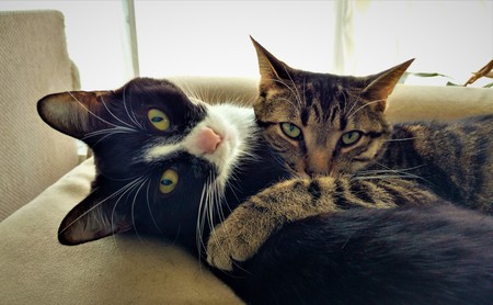 Beans and Bobby