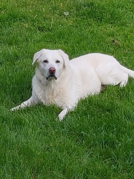 Benny