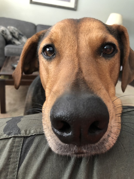 Dudley