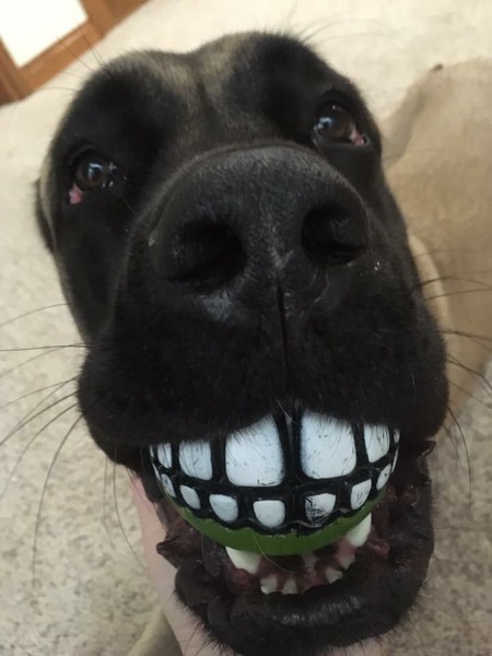 Tater