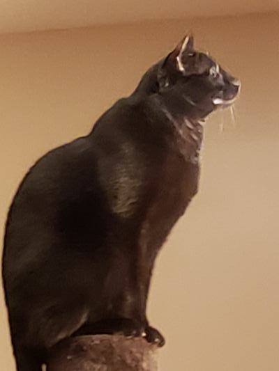 Sam