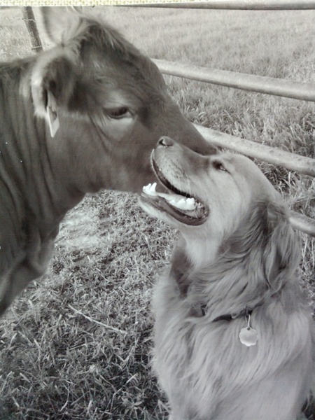 Lucy and Lance