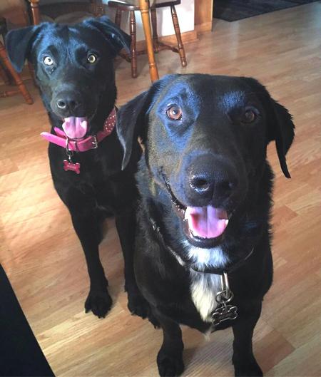 Paige & Beau