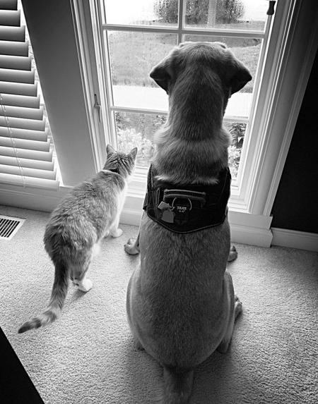 Blaze and OLiver