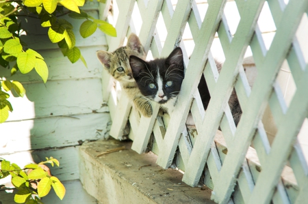 Max and Erma