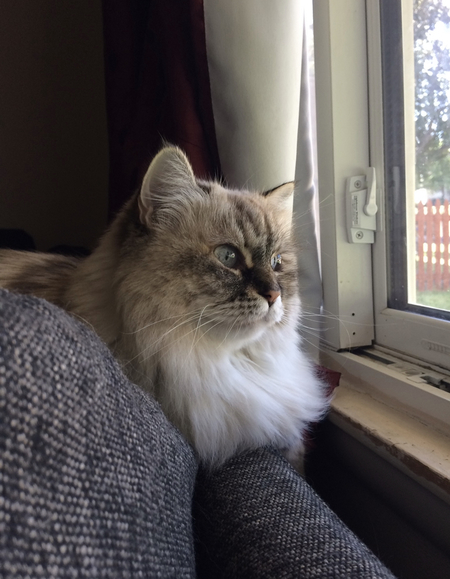 Mia