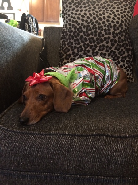 Roxie 