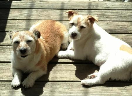 Maggie and Bailey 