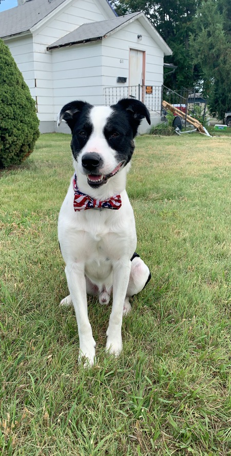 Oreo