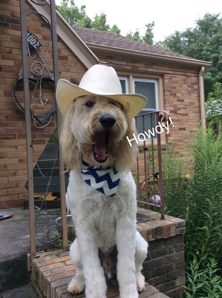 Cooper