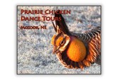 prairie-chicken-dance-tours