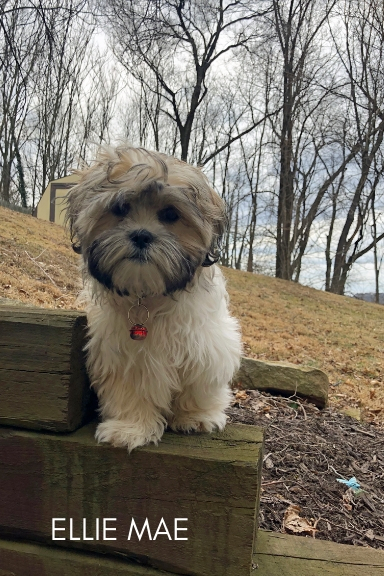 Ellie Mae
