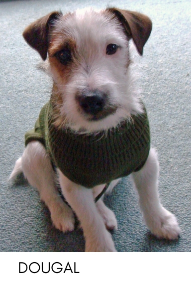 Dougal