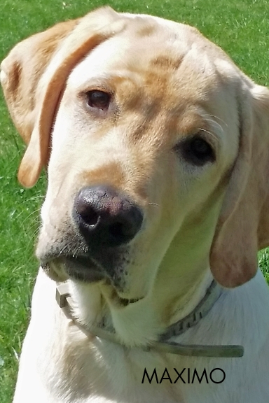 Maximo